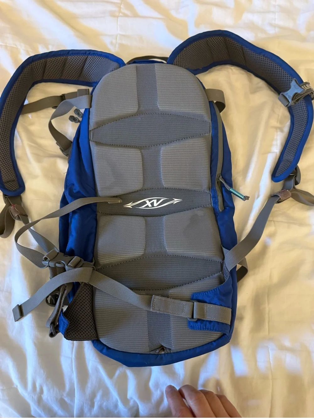 CamelBak Royal Blue Mule Hydration Backpack for Men